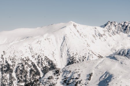 عنوان المقالة عنوان المقالة